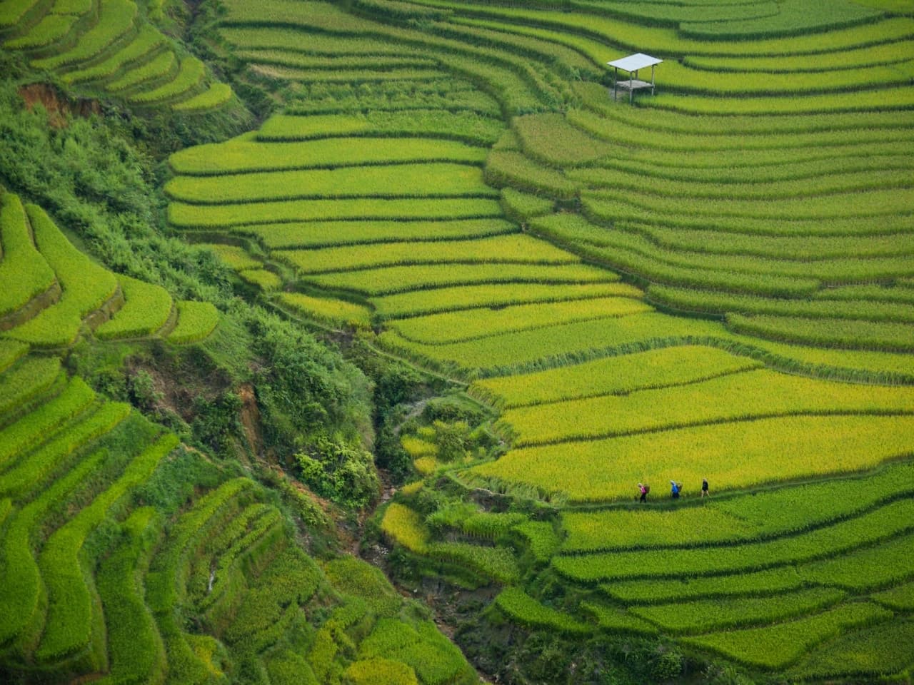 Vietnam