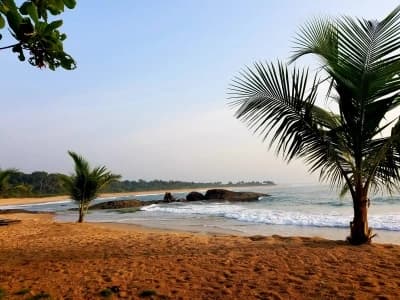 Déconnexion en Côte d'Ivoire