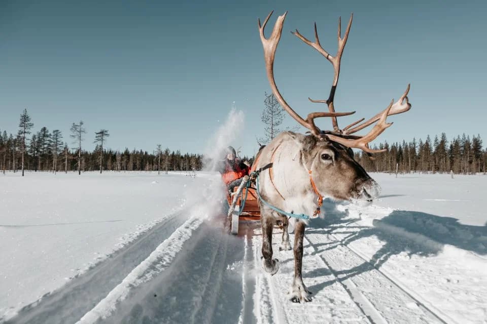 LAPONIE-FINLANDE-VUOKATTI-