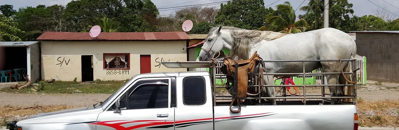 Nicaragua, Autotour en liberté